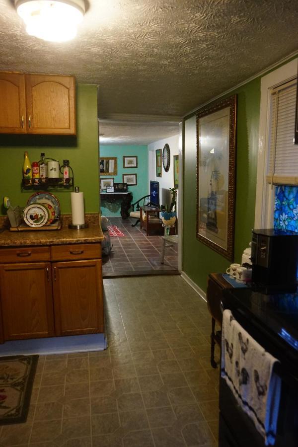 Appartement Funny Farm à St. Augustine Extérieur photo